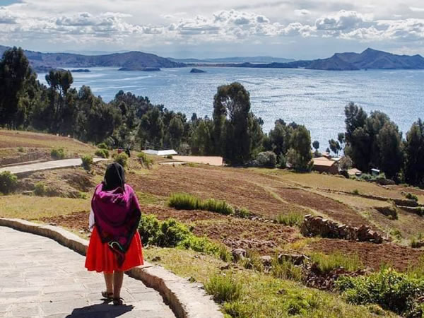The true owners of the puno high plateau: silent guardians of the andes
