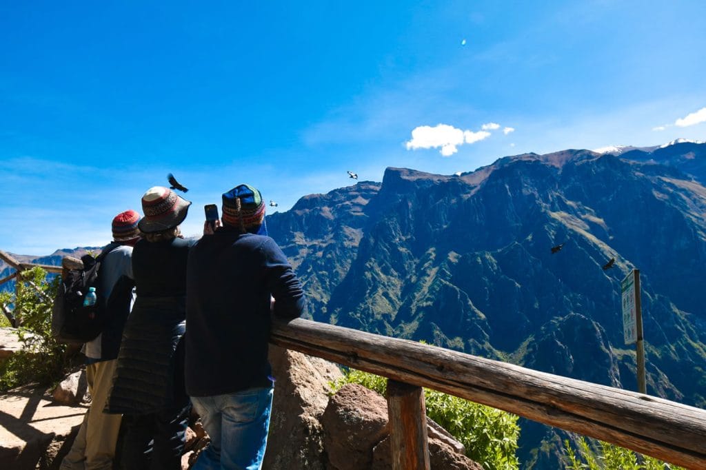 Primer plano del Mirador Cruz del Cóndor, mostrando el majestuoso vuelo de múltiples Cóndores Andinos sobre el Cañón del Colca.