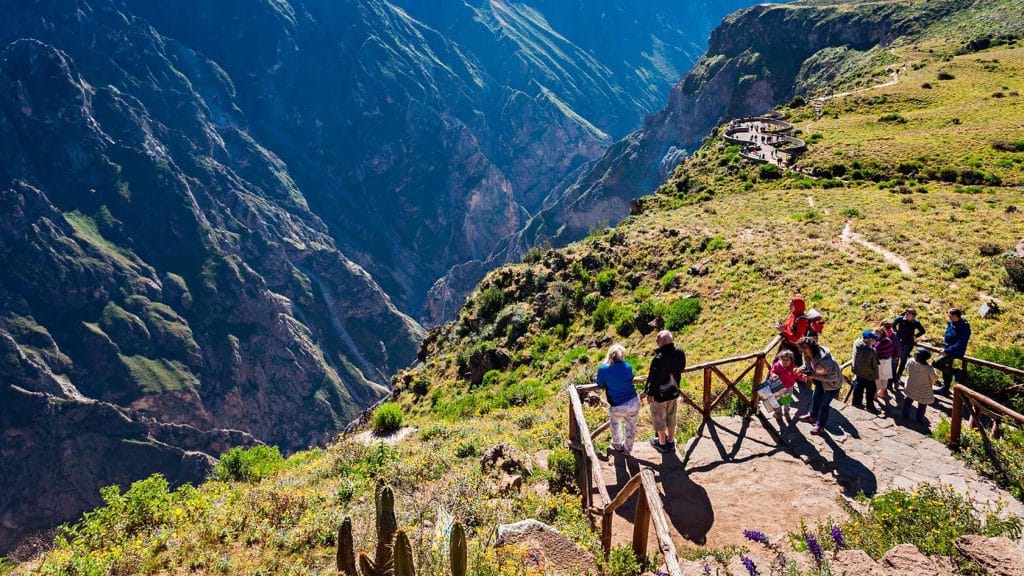 Vista desde las terrazas de Cruz del Cóndor, mostrando el imponente Cañón del Colca y su profunda geografía para el avistamiento de cóndores.