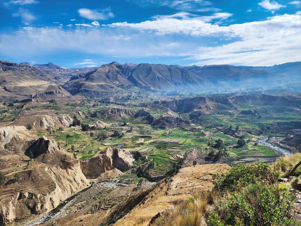 Vista panorámica y extensa de los andenes y terrazas agrícolas ancestrales, cubriendo las laderas del vasto Valle del Colca.