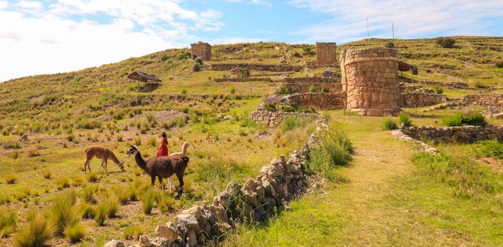Mujer aymara de Molloco y sus llamas en primer plano, con cuatro chullpas funerarias cuadradas visibles en el complejo arqueológico.