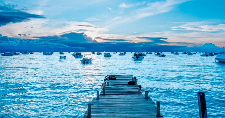 Vista del embarcadero de Copacabana (Bolivia) en el Lago Titicaca, con cientos de botes de madera navegando y atracando bajo un cielo azulado al atardecer.