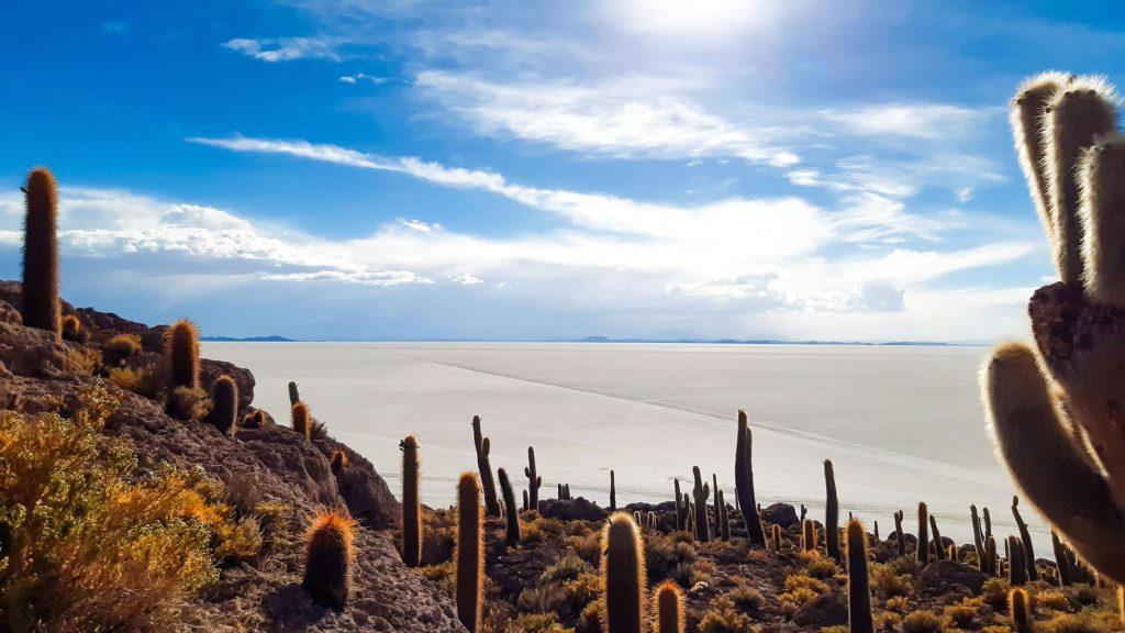 Tour Puno Isla Sol Lapaz Uyuni 12