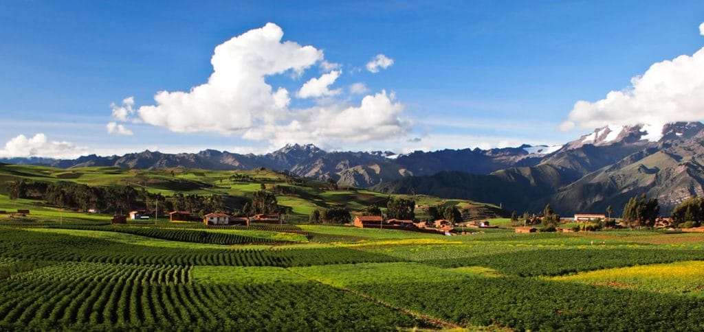 Vista de los campos de cultivo en el fértil Valle Sagrado, donde se produce el maíz gigante blanco de Cusco, con las montañas andinas de fondo.