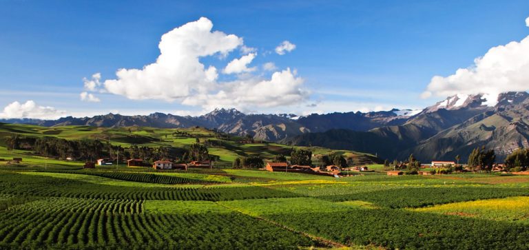 Valle Sagrado de los Incas (1 Día)
