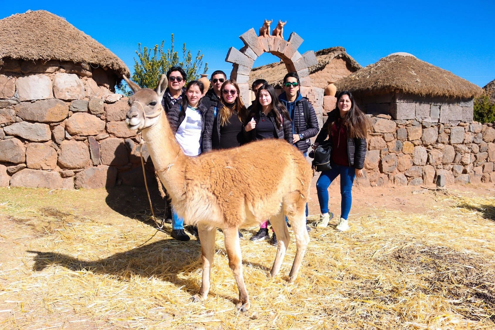 Grupo de viajeros posando junto a una llama y una casa rústica en Atuncolla, durante el Tour Sillustani en tránsito desde el Aeropuerto de Juliaca a Puno.