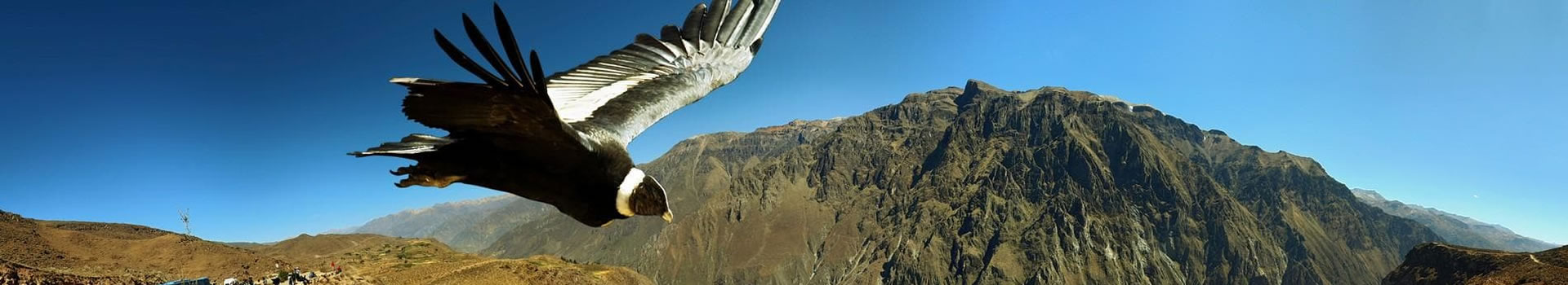 Arequipa – Cañon del Colca – Puno (2D 1N)