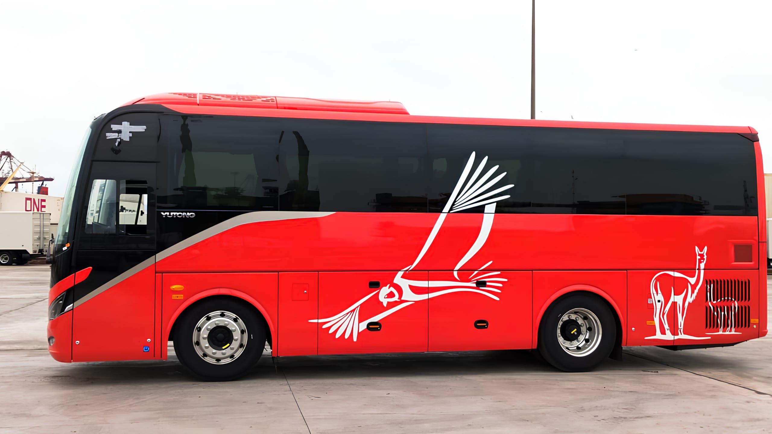 Moderno bus turístico para Puno Chivay y viceversa