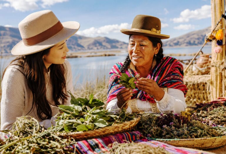 ¿Sabías que el altiplano es una farmacia natural? conoce las hierbas medicinales de Puno